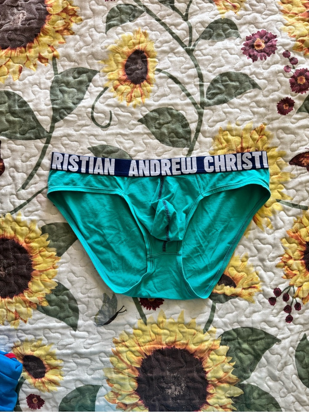 Andrew Christian Teal Briefs with Branded Navy Waistband